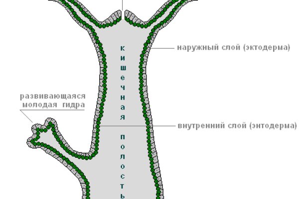 Кракен переходник ссылка