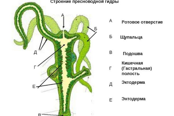 Kraken новая ссылка