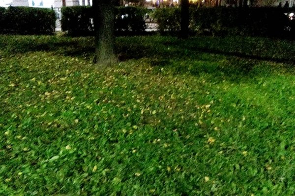 Кракен даркнет маркет
