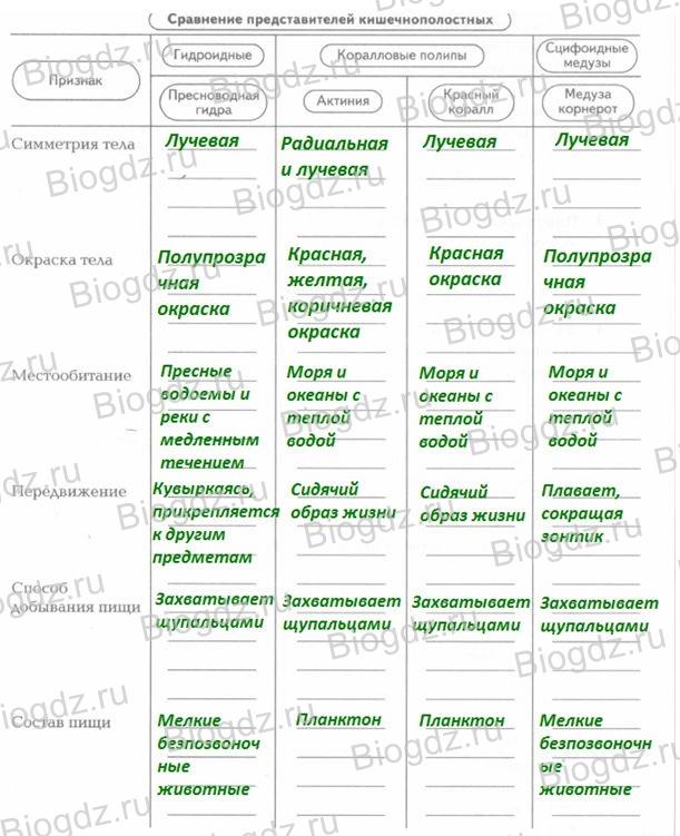 Что случилось с кракеном маркетплейс